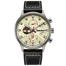 Timberland Dracut TDWGF2181803 Férfi Karóra