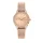 TRUSSARDI R2453152505 Női karóra