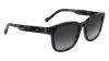 ZEISS ZS23528S5192 Férfi napszemüveg